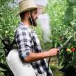 Garden of Eden - Pulverizator de mână, 5 l, presiune 5 bar- cu ţeavă de pulverizare
