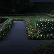 Garden of Eden - Şir de lumini LED 50 buc. LED-uri color, 2 funcţii, 5+2 m