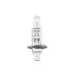 Bec halogen H1, 55W, +30% intensitate - CARGUARD