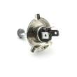 Bec halogen H4, 55W, +30% intensitate - CARGUARD