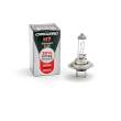 Bec halogen H7 55W, +30% intensitate - CARGUARD