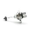 Bec halogen H7, 55W, +30% intensitate - CARGUARD