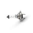Bec halogen H7 55W, +30% intensitate - CARGUARD