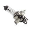 Bec halogen H4 55/60W, +30% intensitate - CARGUARD