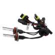 Bec Xenon H9-4300K - CARGUARD