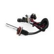 Bec Xenon H9-4300K - CARGUARD