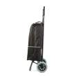 Troller de cumpărături cu roți – 2 modele – 100 x 36 x 25 cm – poliester