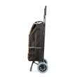 Troller de cumpărături cu roți – 2 modele – 100 x 36 x 25 cm – poliester