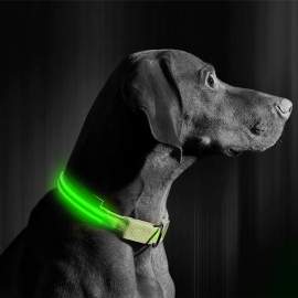 Zgardă LED cu baterie - marimea S - verde