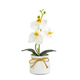 Decorațiune cu plantă artificială – Orhidee albă – 20 x 9 cm Cod produs: 11889B