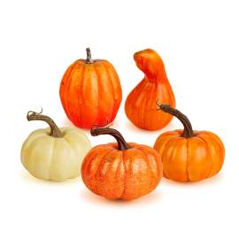 Decorațiune de toamnă – dovleci decorativi – 6 modele – plastic