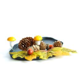 Decorațiune de toamnă – set frunze, conuri de brad și dovleci – 4 modele