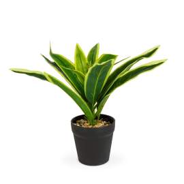 Plantă artificială decorativă - Copac de șofran cu dungi - 20 x 8,5 cm