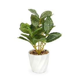Plantă artificială decorativă - Fittonia - 20 x 9 cm