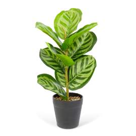 Plantă artificială decorativă - Frunză de zebră verde - 34 x 9 cm