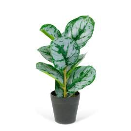Plantă artificială decorativă - Frunză de zebră verde/alb - 34 x 9 cm