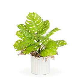 Plantă artificială decorativă - Monstera - 22 x 8,5 cm