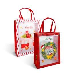 Pungă decorativă pentru cadouri – 24 x 19,5 x 9,5 cm – 2 modele – material plastic
