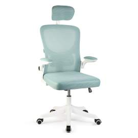 Scaun de birou ergonomic cu brațe rabatabile, alb/albastru, 58 x 48 / 50 x 50 cm