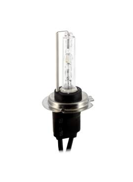 Bec Auto Xenon CARGUARD H7 6000K