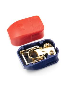 Borne baterie auto Carguard – set 2 cleme profesionale