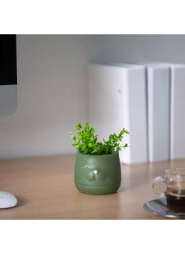 Decor plante artificiale - cap de pisica - 9 x 14 cm - 3 tipuri