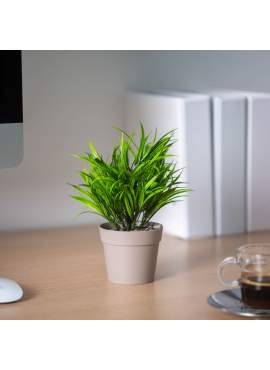 Decor plante artificiale - iarbă de mătase - verde - 15 x 22 cm - 3 tipuri