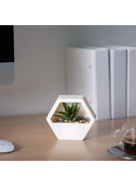 Decor plante artificiale - perete - 13 x 12 cm - 4 tipuri