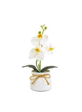Decorațiune cu plantă artificială – Orhidee albă – 20 x 9 cm Cod produs: 11889B