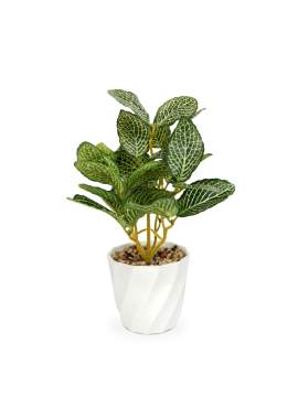 Plantă artificială decorativă - Fittonia - 20 x 9 cm