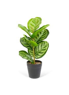 Plantă artificială decorativă - Frunză de zebră verde - 34 x 9 cm