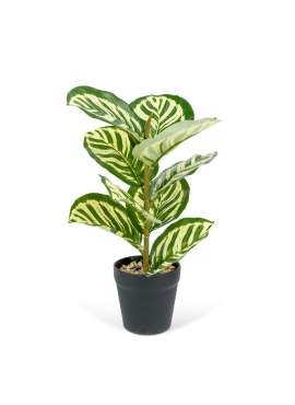 Plantă artificială decorativă - Frunză de zebră verde - 34 x 9 cm