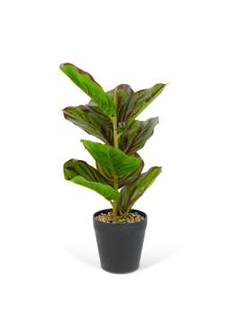 Plantă artificială decorativă - Frunză de zebră verde/negru - 34 x 9 cm