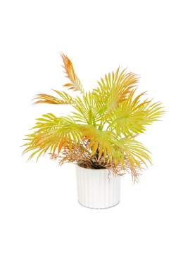 Plantă artificială decorativă - Palmier artificial - 22 x 8,5 cm