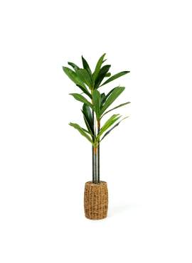 Plantă decorativă artificială Dracaena Fragrans – 1,1–1,2 m, verde