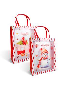 Pungă decorativă pentru cadouri – 32 x 25 x 11 cm – 2 modele – material plastic