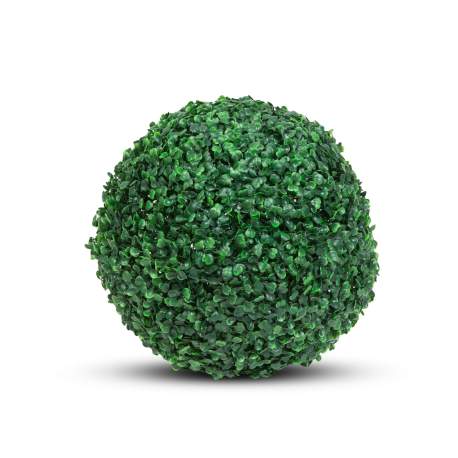 Garden of Eden - Cimişir, dimensiune Extra, Ø 37 cm