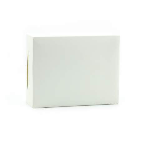 Balast AC Super-CanBus 55W