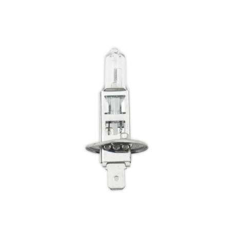 Bec halogen H1, 55W, +30% intensitate - CARGUARD