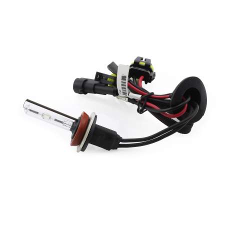 Bec Xenon H9-4300K - CARGUARD