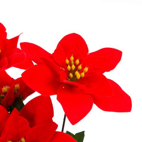 Decor de sărbători - Poinsettia roșie