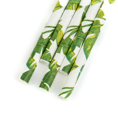 Paie de hartie - junglă - 197 x 6 mm - 25 buc/pachet