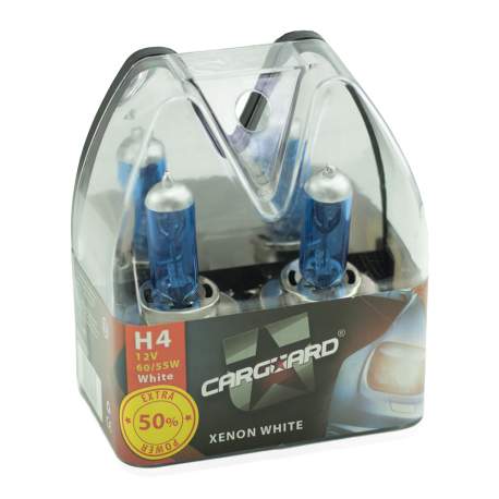 Set de 2 becuri halogen H4 - 60/55W